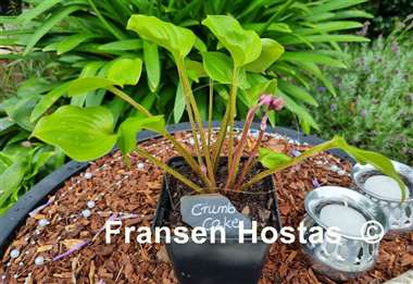 Hosta Crumb Cake