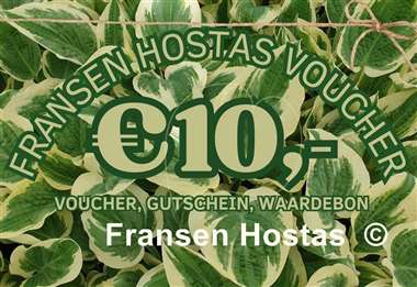 Hosta Fransen Hostas Voucher 10 Euro