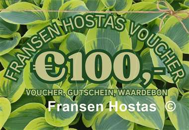 Hosta Fransen Hostas Voucher 100 Euro