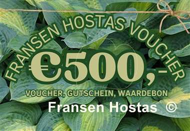Hosta Fransen Hostas Voucher 500 Euro