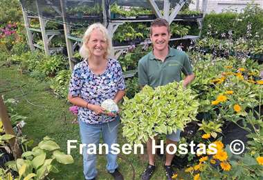 Hosta German Hostimist