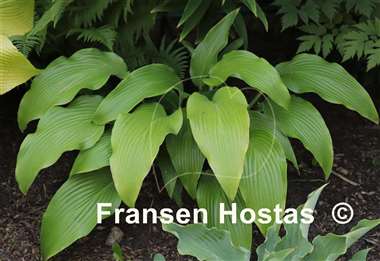 Hosta Glacier Cascade