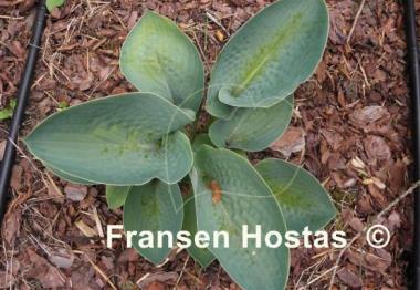 Hosta Glacial Lake
