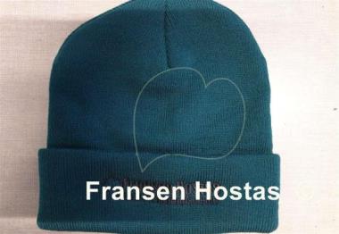 Hosta Hosta Paradise Beanie Green