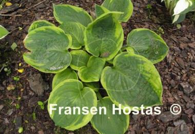 Hosta Jason and Katie