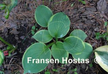 Hosta Jason and Katie