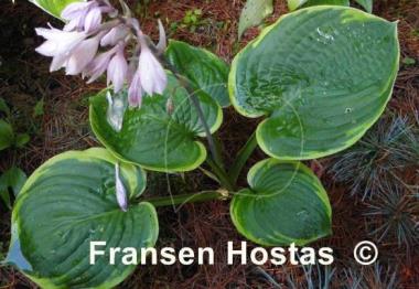 Hosta Jason and Katie