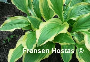 Hosta Lakeside Cranberry Relish