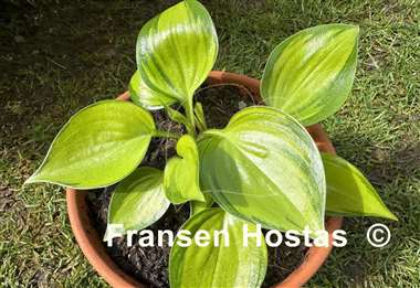 Hosta Tiki Bar