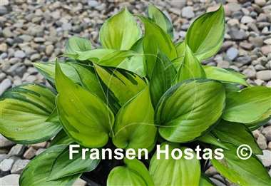 Hosta Tiki Bar