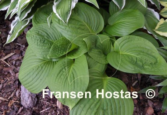 Hosta County Park