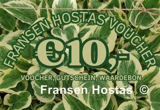 Hosta Fransen Hostas Voucher 10 Euro