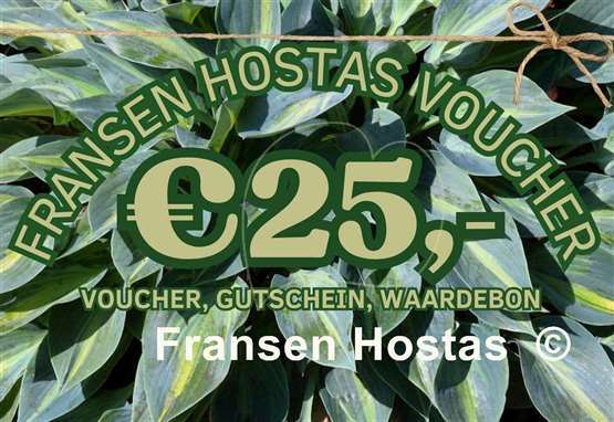 Hosta Fransen Hostas Voucher 25 Euro