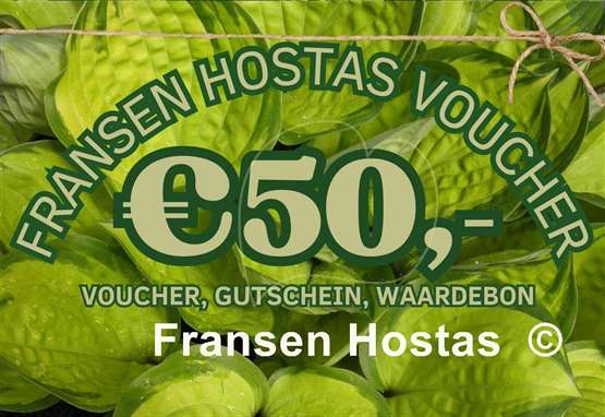 Hosta Fransen Hostas Voucher 50 Euro