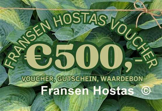 Hosta Fransen Hostas Voucher 500 Euro