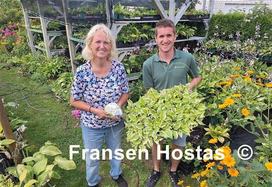 Hosta German Hostimist