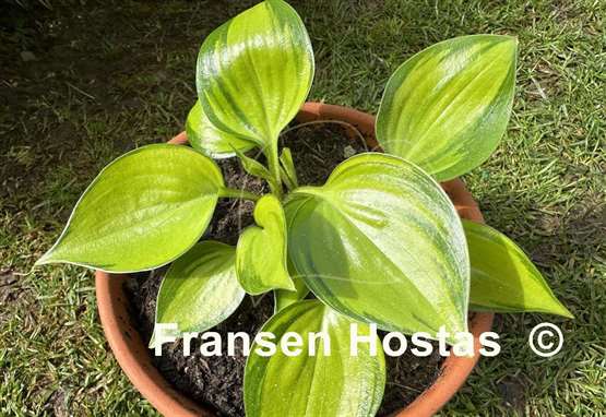 Hosta Tiki Bar